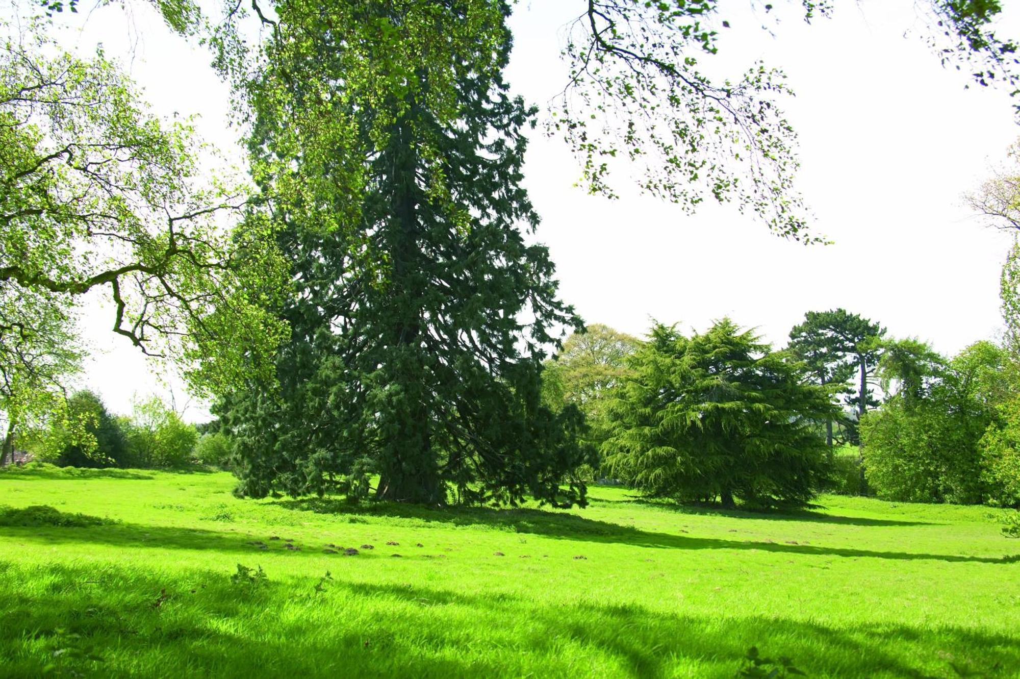 Woodland Grange Hotell Lillington  Eksteriør bilde